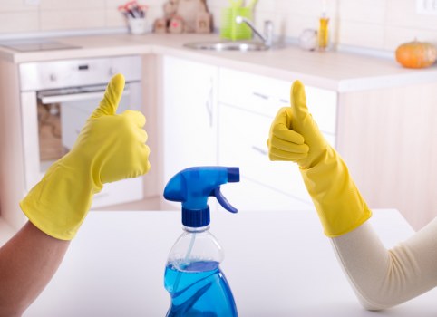 Professional sofa cleaning with upholstery care tools