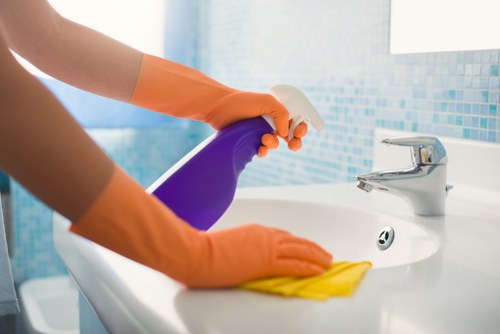 Cleaning supplies used for move out cleaning
