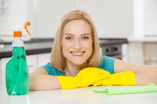 Cleaning tools used for post-construction dust removal and detailing