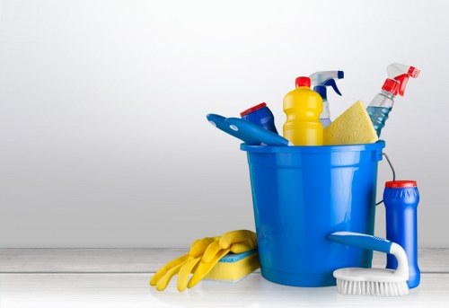 Deep cleaning tools and organized home spaces