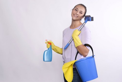 Fabric sofa stain treatment and spot cleaning process