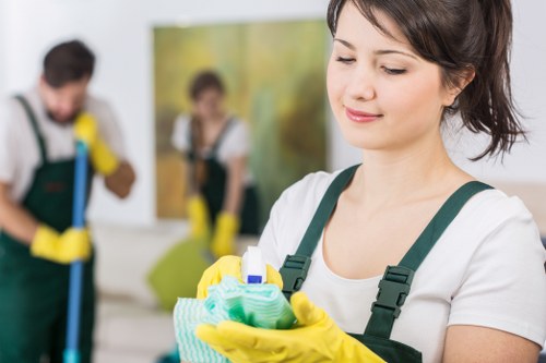 Cleaning supplies arranged for a house cleaning routine