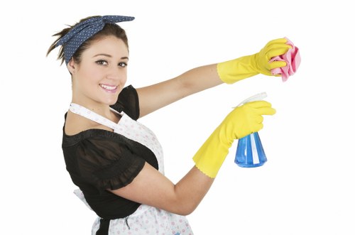 A person using tools to support regular cleaning in a bright room