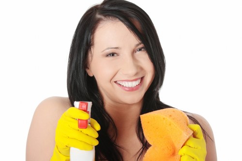 Cleaning supplies prepared for safe oven maintenance