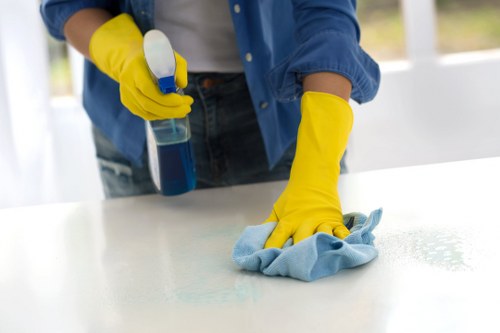 Professional domestic cleaning tools arranged for home cleaning