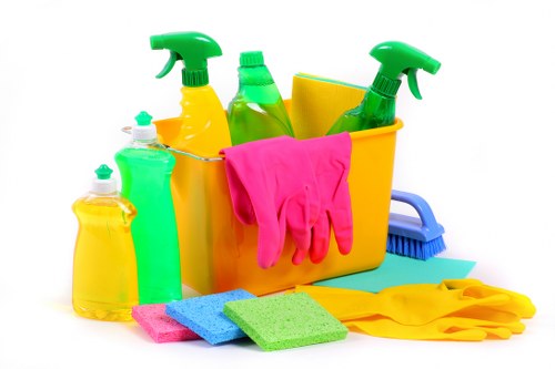 Kitchen domestic cleaning with clean countertops and appliances
